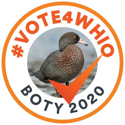 Vote whio for 2020 Bird of the Year! Follow us to support the #OperationUnderduck mission or slide into our DMs with your memes of support.