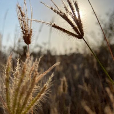 AtheerH90's profile picture. 