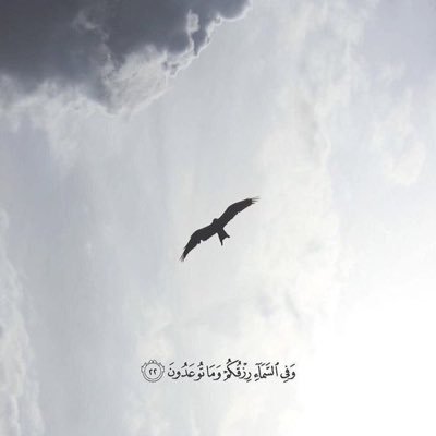 layla_almutery's profile picture. مهتمة بتطوير التعليم ، الأدب العربي ،التدريب، التصميم، استمتع بالفراسة أفيد واستفيد #التربية، #الصحة_النفسية ، #تعليم_الكبار ، #السياسات_التربوية 🌿🕊
