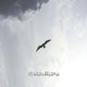 layla_almutery's profile picture. مهتمة بتطوير التعليم ، الأدب العربي ،التدريب، التصميم، استمتع بالفراسة أفيد واستفيد #التربية، #الصحة_النفسية ، #تعليم_الكبار ، #السياسات_التربوية 🌿🕊