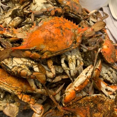 troop1504's profile picture. middle aged, out of shape, wife, mom, craft enthusiast and GS volunteer 🐞