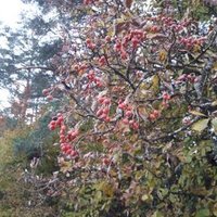 Katinka (@katinka28450650) Twitter profile photo