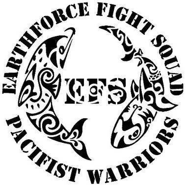 Earthforce Fight Squad