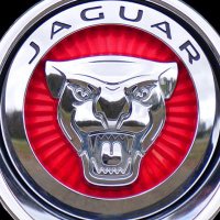 Jaguar Lakewood(@JaguarLakewood) 's Twitter Profile Photo