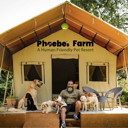 Phoebe's Farm