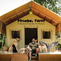 Phoebe's Farm(@PhoebesFarm) 's Twitter Profile Photo