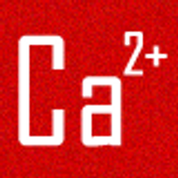 Calcium Ion (@conductiontweet) 's Twitter Profile