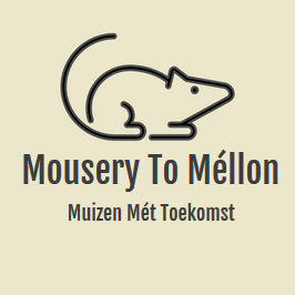 Muizen én ratten mét toekomst Instagram: @kleurmuizen Twitter: @kleurmuizen https://t.co/gXOTW5824k