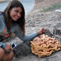 Cristina 🦝 (@cristigrod) 's Twitter Profile