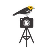 Get Close to Nature from a birder point of view. A group for All Bird Photographers