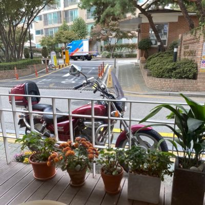 낡은 오토바이를 좋아합니다. / Socialist / Pohang Steelers
