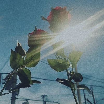 satomitiさんのプロフィール画像