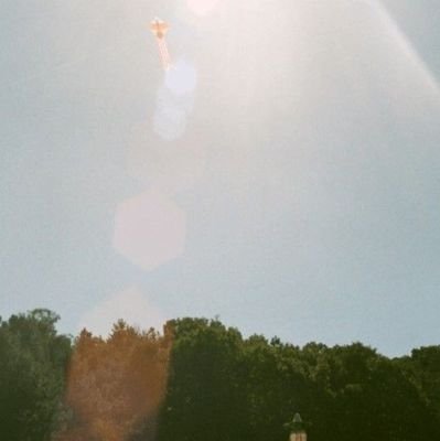 pixie_hollow's profile picture. 