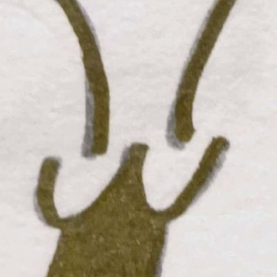プキンさんのプロフィール画像