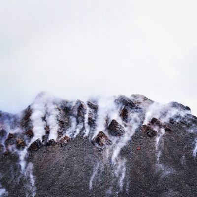 gombock1's profile picture. 