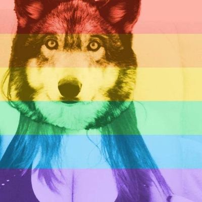 vivifacts's profile picture. 