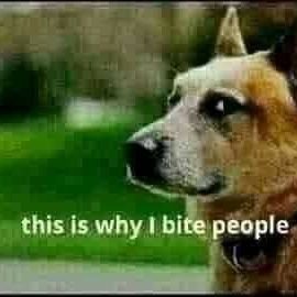 vieentom's profile picture. Futures, Stocks, FX Trader
Not financial advice.  
this is entirely entertainment 😂