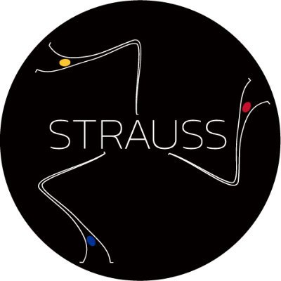 Strauss APS è una organizzazione no-profit nata nel 1999 a Mussomeli ed impegnata a promuovere una società multiculturale