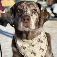 Gena Rotstein (@genarotstein) 's Twitter Profile Photo Gena Rotstein (@genarotstein) 's Twitter Profile Photo