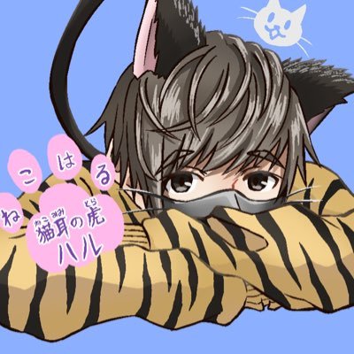 猫耳の虎ハル（ねこはる）さんのプロフィール画像