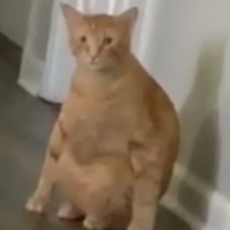 Ozzy_o_'s profile picture. 