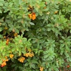 AnaCGarca4's profile picture. 