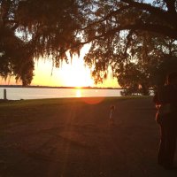 Tony Landry (@palandry3) 's Twitter Profile