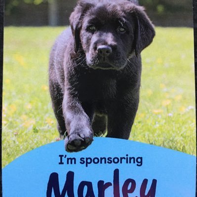 lees_vi's profile picture. FOReST fan, Allotment owner, I’m owned by a Yorkshire terrier named Stanley, always in the countryside, I detest animal cruelty