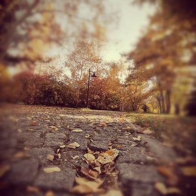 nurr_25's profile picture. #BTEDerneği #BilişimTeknolojileriÖgretmeni #Böte
#HabitatGönüllüsü #RobotikKodlama