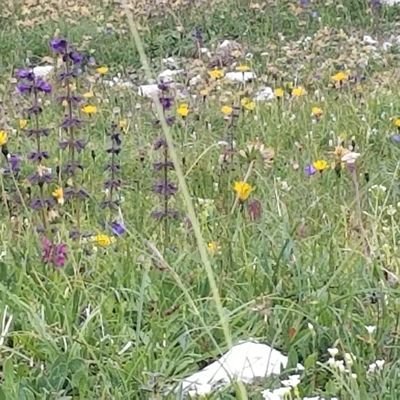 mcgill62's profile picture. 