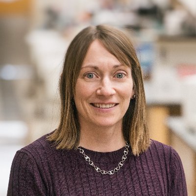 CarlaKimLab Profile Picture