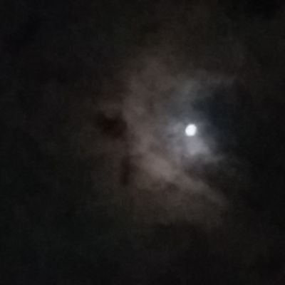 Zakikazi18's profile picture. student