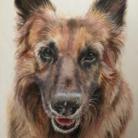 Perfect Portraits(@Juliebailey411) 's Twitter Profile Photo