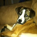 Della White - @Della_White - Twitter