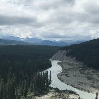 Northern Beard (he/him) (@northern_beard) 's Twitter Profile