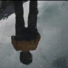 xTools9's profile picture. 