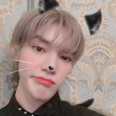 J0IECITY4's profile picture. #MARK : God feeds every single bird but doesn't put it right into nest