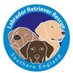 Labrador Retriever Rescue Southern England (@LRRSE_) Twitter profile photo