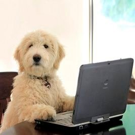 BoldNegligence's profile picture. I do security stuff