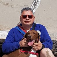 El Meu Nom (@gpuchalg) 's Twitter Profile