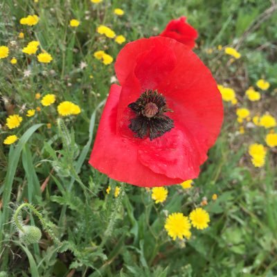 jQlkgg31bhvLWIo's profile picture. 