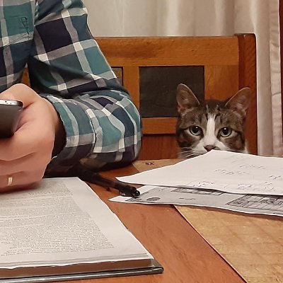 moon_is_sharp's profile picture. https://t.co/oDcrXigGcI