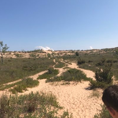 BMOJ235's profile picture. 