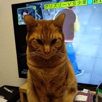 ガ茶ピン (@u7crkuiijgcyef3) 's Twitter Profile Photo