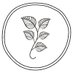 Birch Circle (@birchcircle) Twitter profile photo Birch Circle (@birchcircle) Twitter profile photo