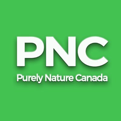 Canadian Healthcare Supplements

https://t.co/18ssZaeDAk