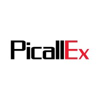 PicallEx(@picallex) 's Twitter Profile Photo