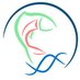 salmon & alevin (@salmon_software) Twitter profile photo salmon & alevin (@salmon_software) Twitter profile photo