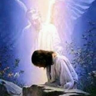 GilbertChiamog1's profile picture. A LOVER OF BITCOIN, CRYPTO MINING, AIRDROP, TRADING OF BITCOIN AND CRYPTO CURRENCY.