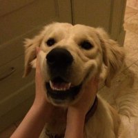 Unonimus (@lo8st3r) 's Twitter Profile